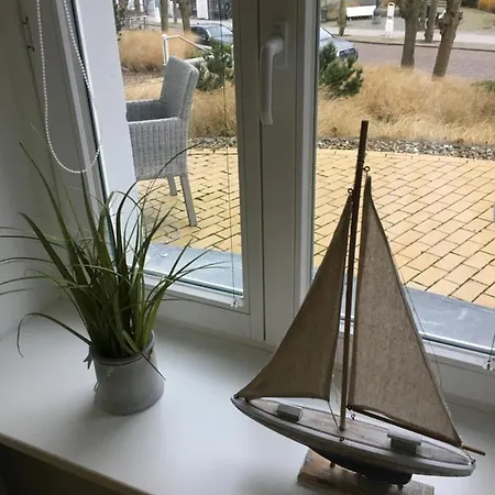 Strandläufer Odin *